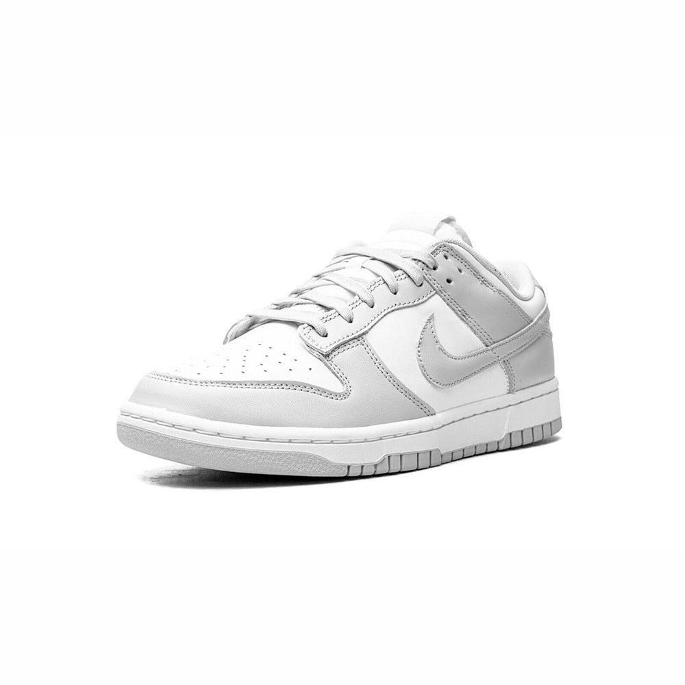 DUNK LOW "Photon Dust" DUST GRAY MENS